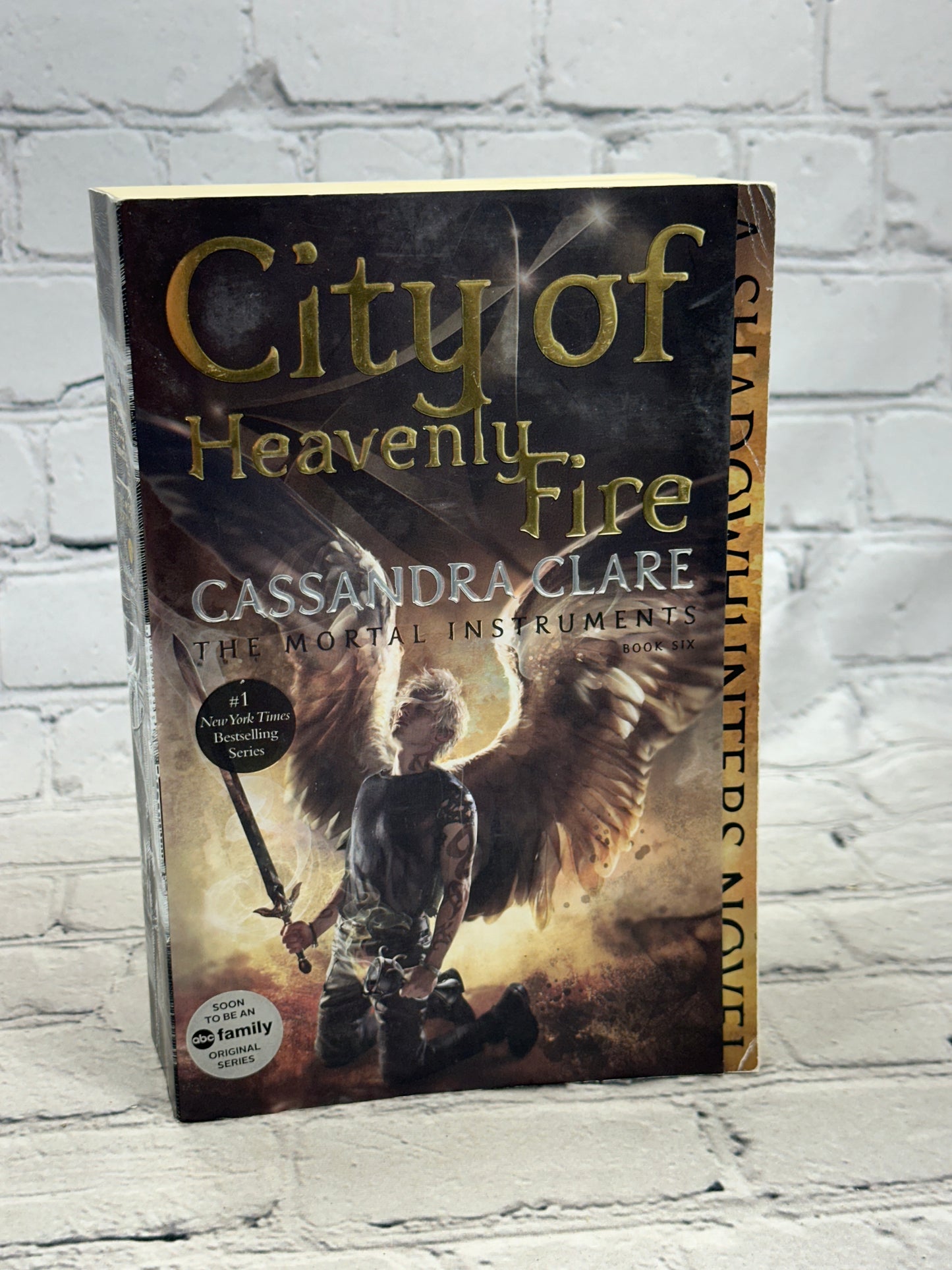 City of Heavenly Fire: Mortal Instruments Book 6 by Clare, Cassandra [2015]