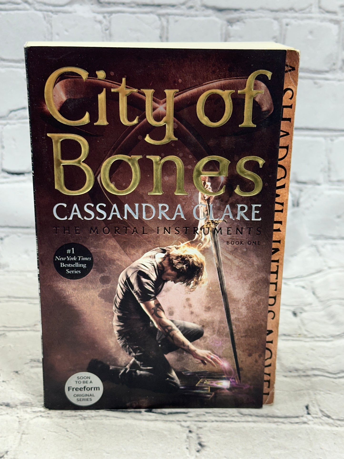 City of Bones: The Mortal Instruments Book 1 by Cassandra Clare [2015]