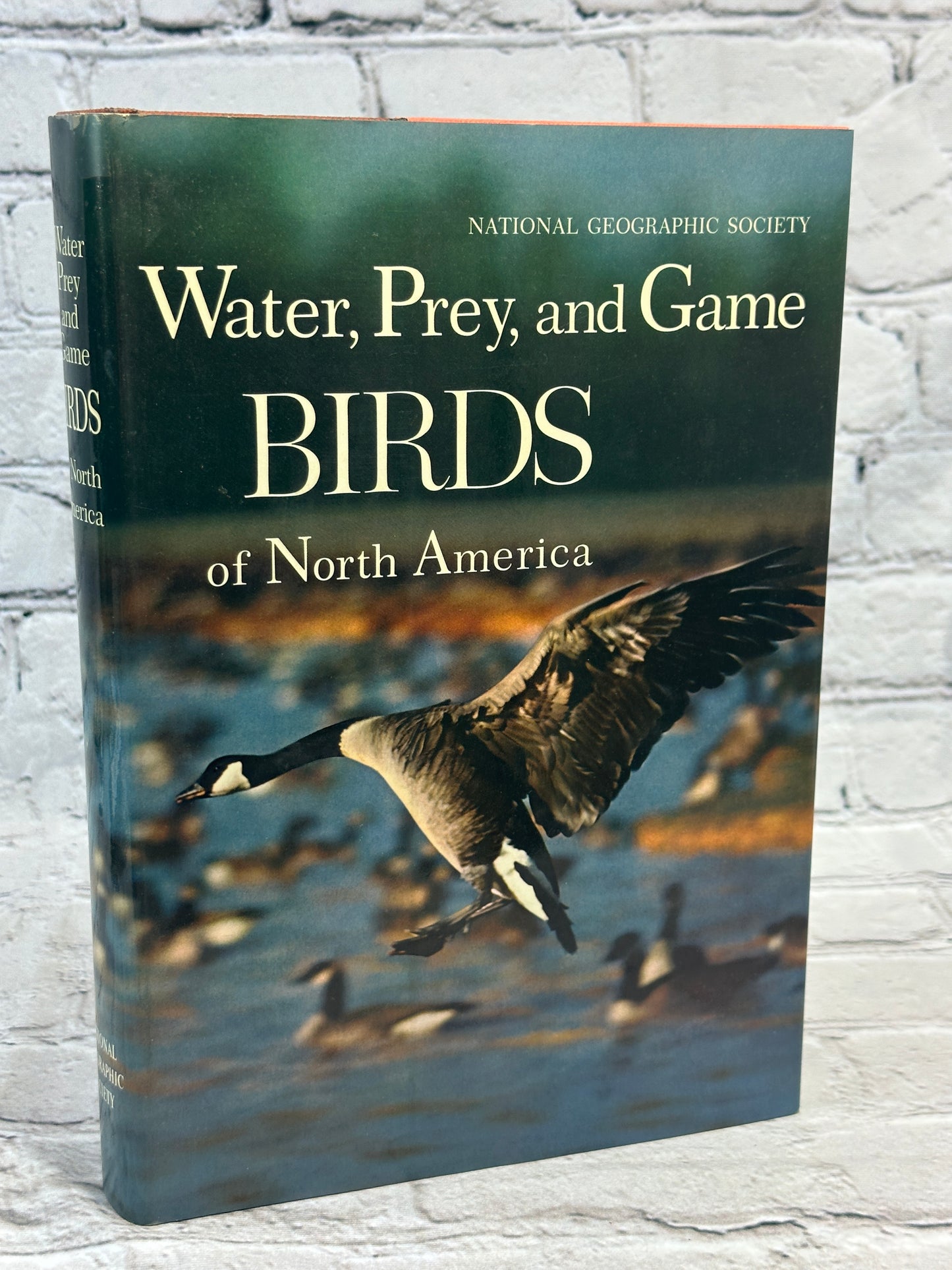 Water, Prey, and Game Birds of North America by A. Wetmore [1965 · 1st Print]