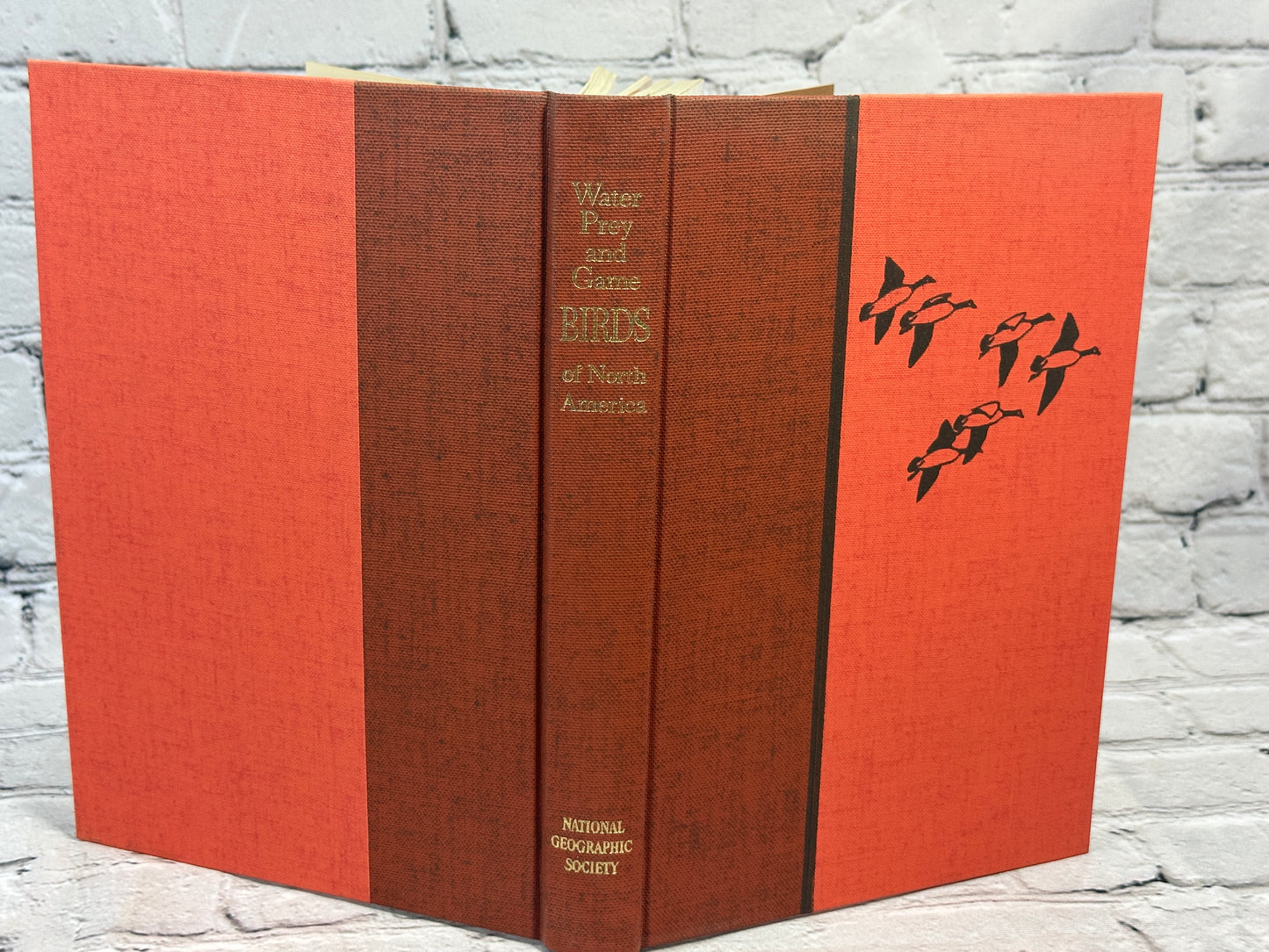 Water, Prey, and Game Birds of North America by A. Wetmore [1965 · 1st Print]