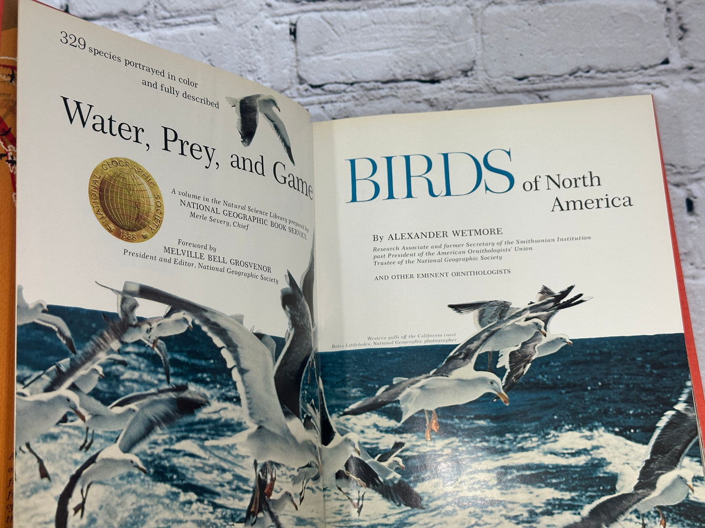 Water, Prey, and Game Birds of North America by A. Wetmore [1965 · 1st Print]