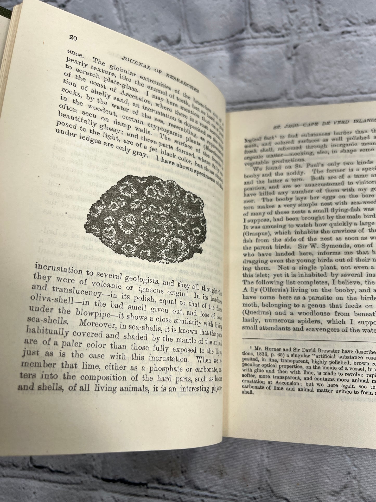 Journal of Researches by Charles Darwin [American Home Library 2nd Ed. · 1902]