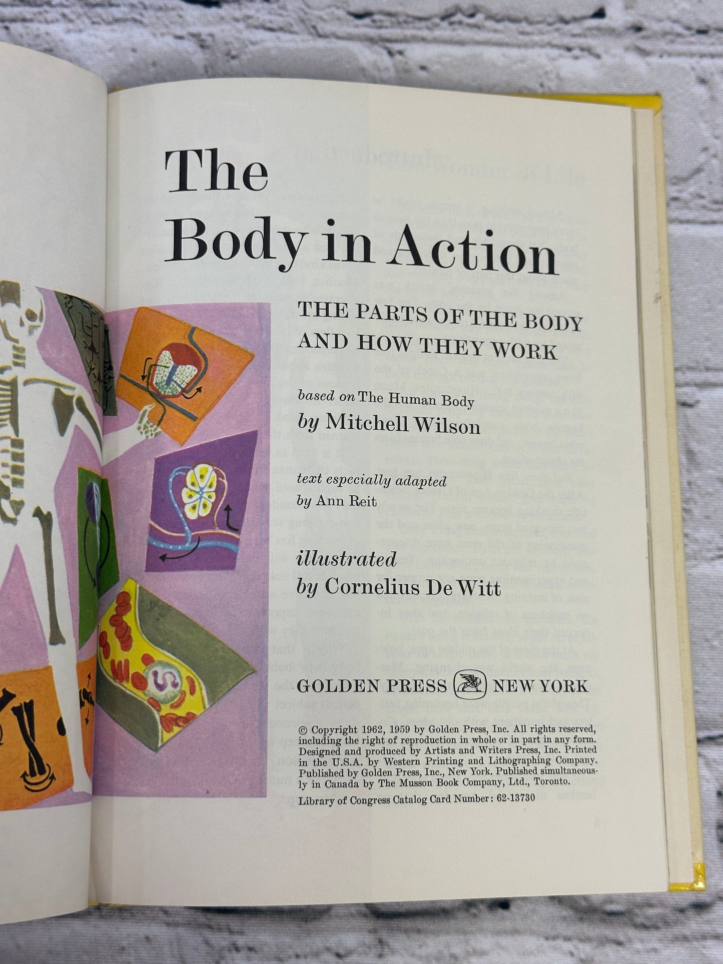 The Body in Action; The Parts of the Body and How They Work by M. Wilson [1962]