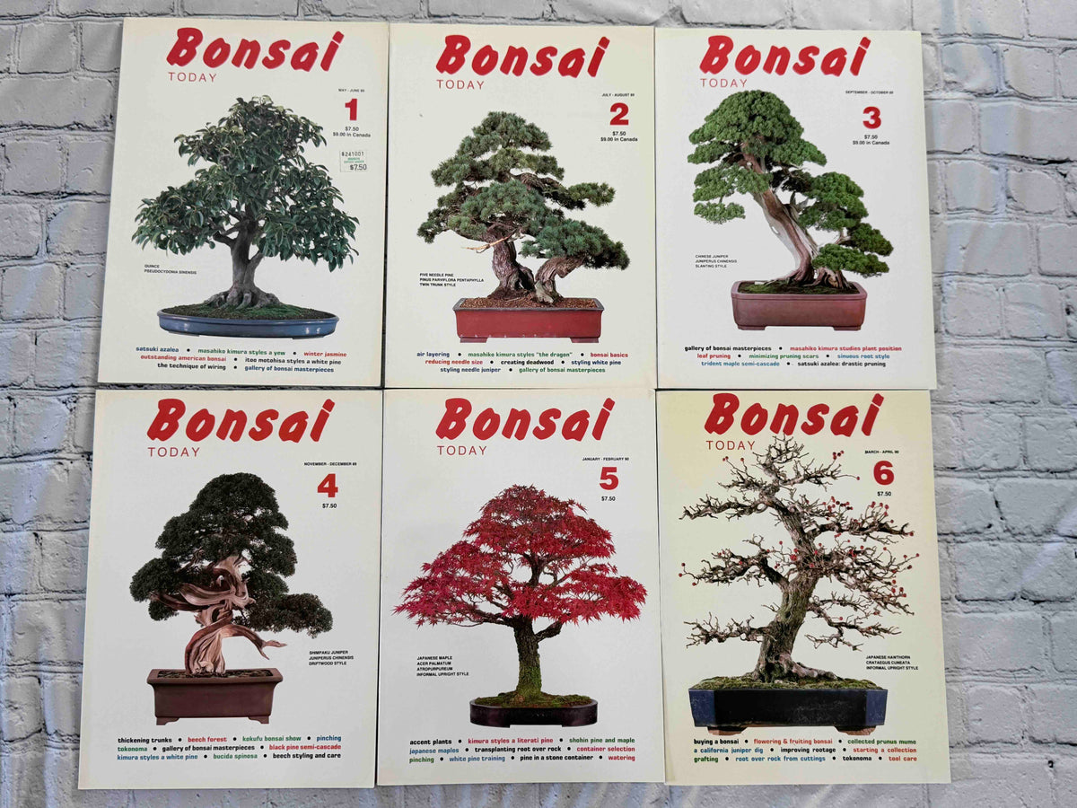 Bonsai Today magazine lot - front covers of issues 1-6