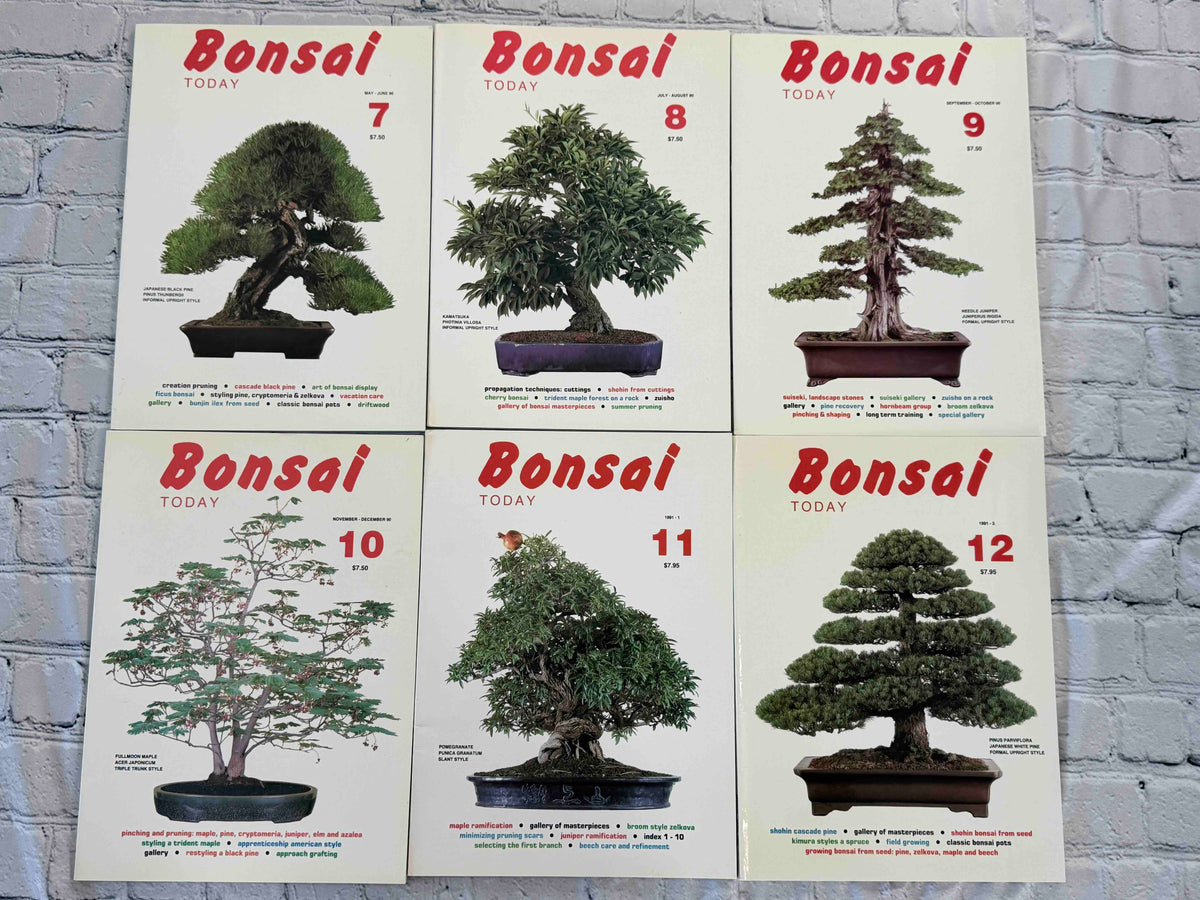 Bonsai Today magazine lot - front covers of issues 7-12