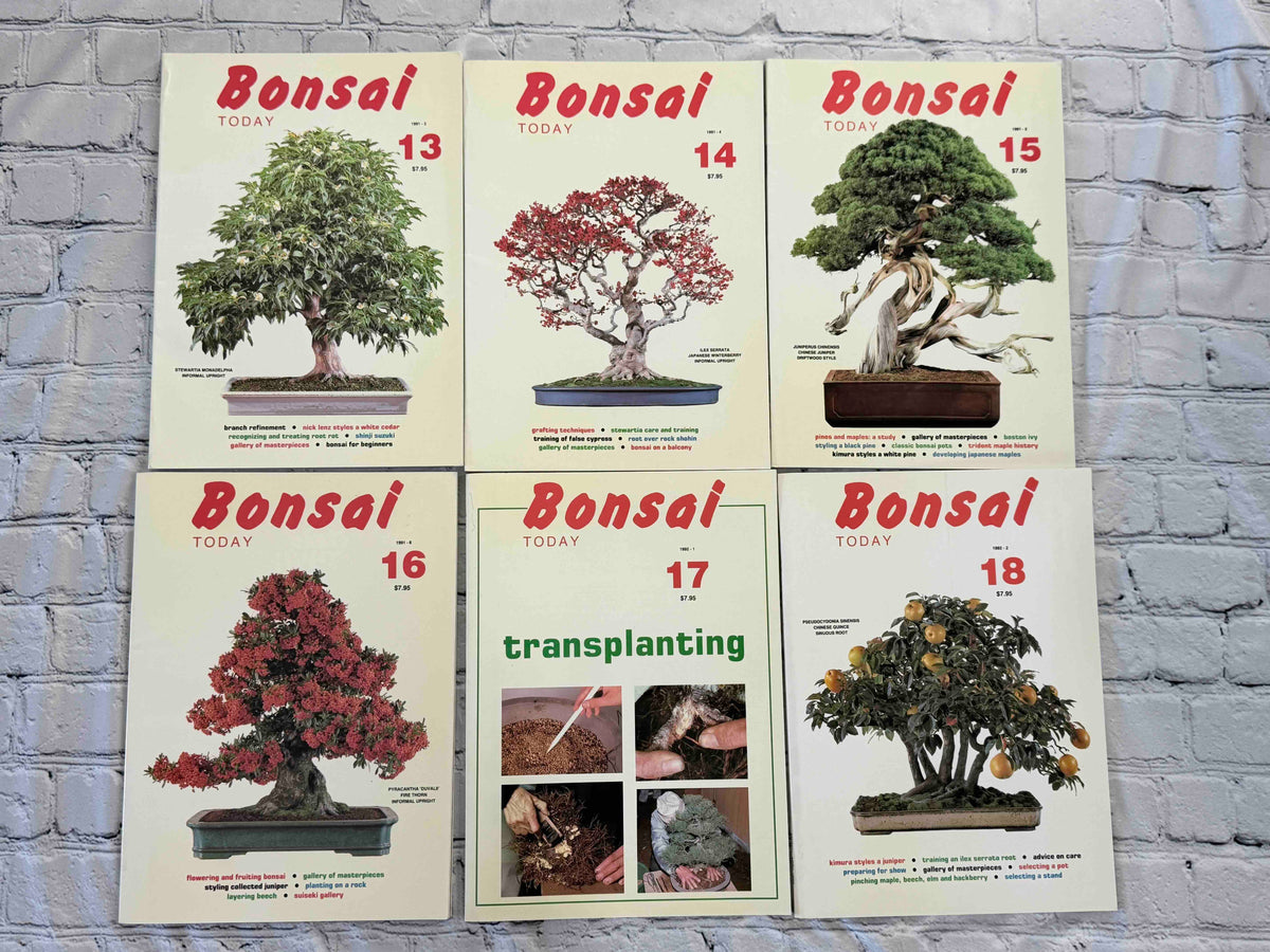 Bonsai Today magazine lot - front covers of issues 13-18