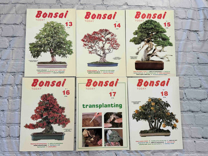 Bonsai Today magazine lot - front covers of issues 13-18