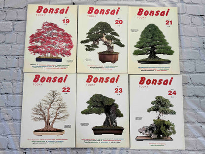 Bonsai Today magazine lot - front covers of issues 19-24