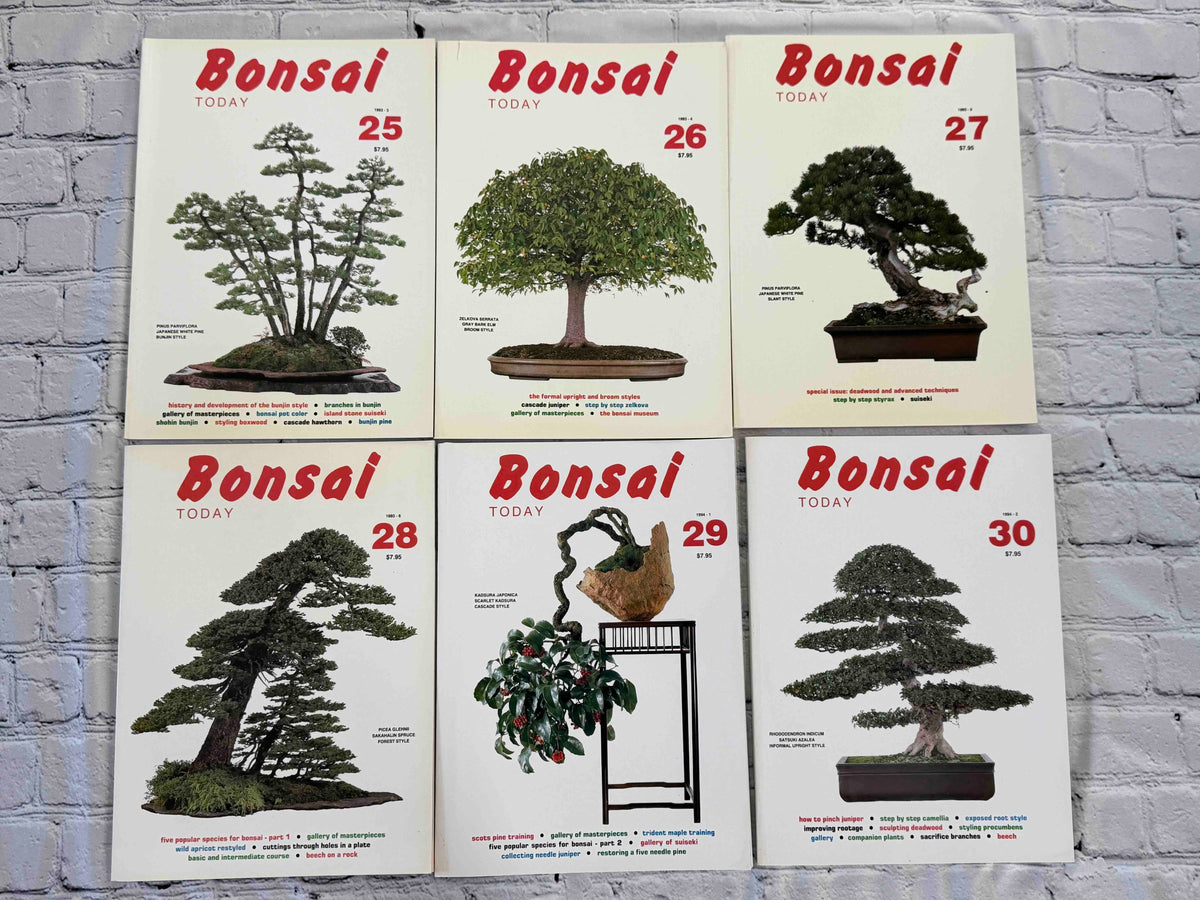 Bonsai Today magazine lot - front covers of issues 25-30