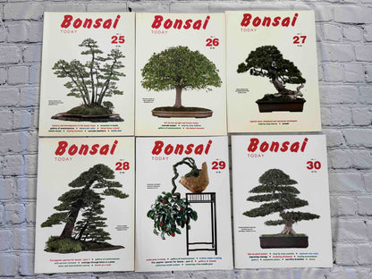 Bonsai Today magazine lot - front covers of issues 25-30