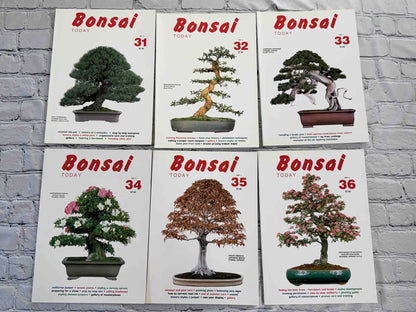 Bonsai Today magazine lot - front covers of issues 31-36