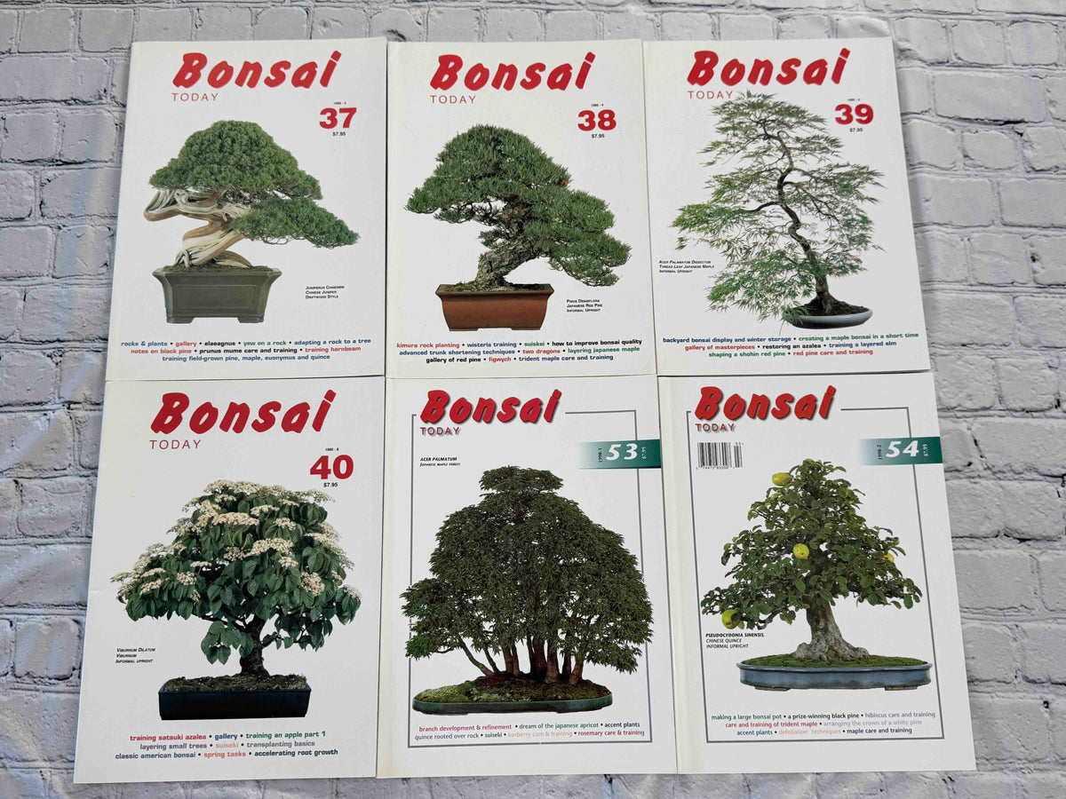 Bonsai Today magazine lot - front covers of issues 37-40, 53 and 54