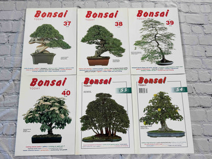 Bonsai Today magazine lot - front covers of issues 37-40, 53 and 54