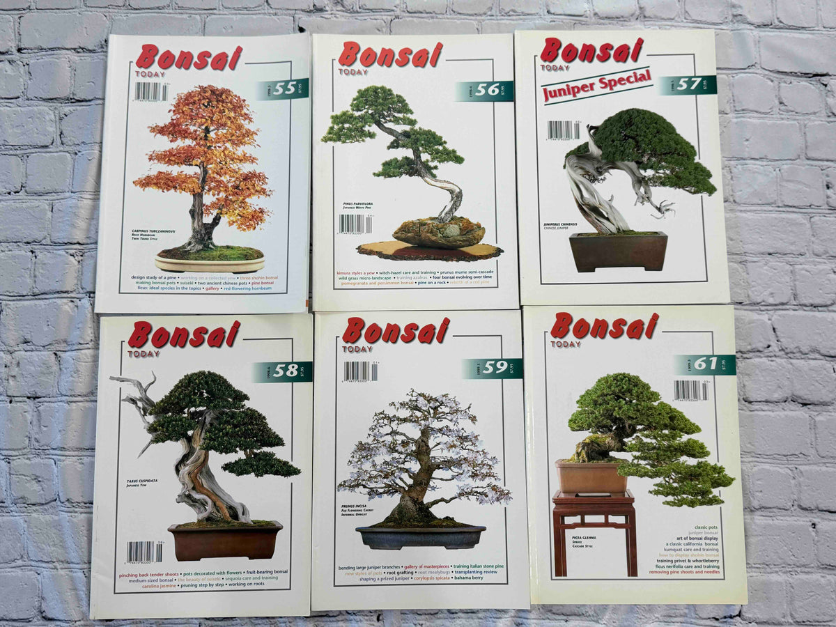 Bonsai Today magazine lot - front covers of issues 55-59 and 61