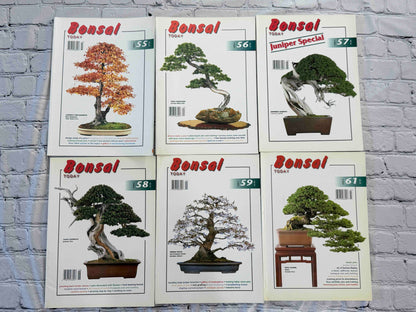 Bonsai Today magazine lot - front covers of issues 55-59 and 61