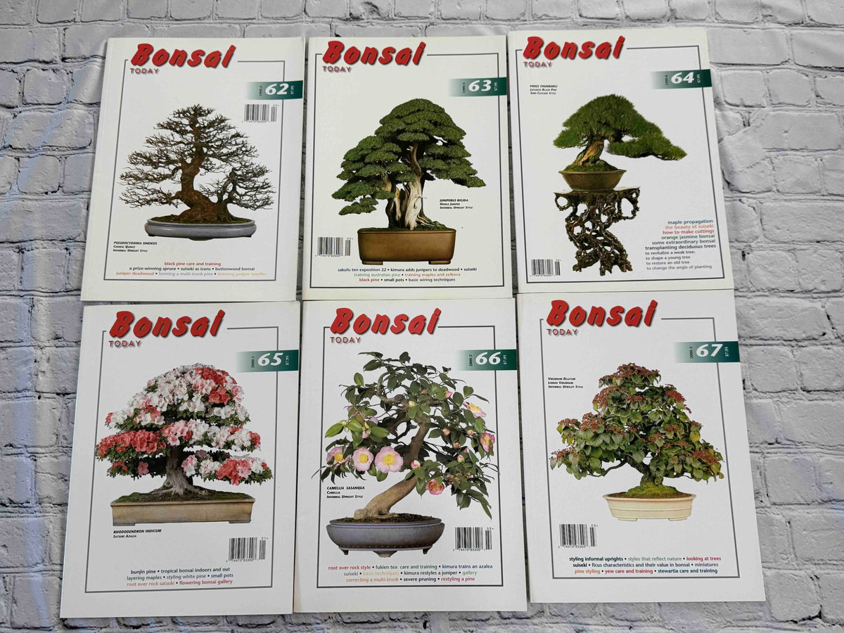 Bonsai Today magazine lot - front covers of issues 62-67