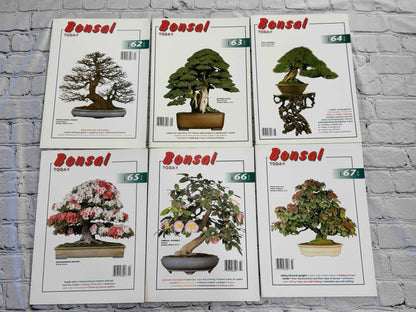 Bonsai Today magazine lot - front covers of issues 62-67