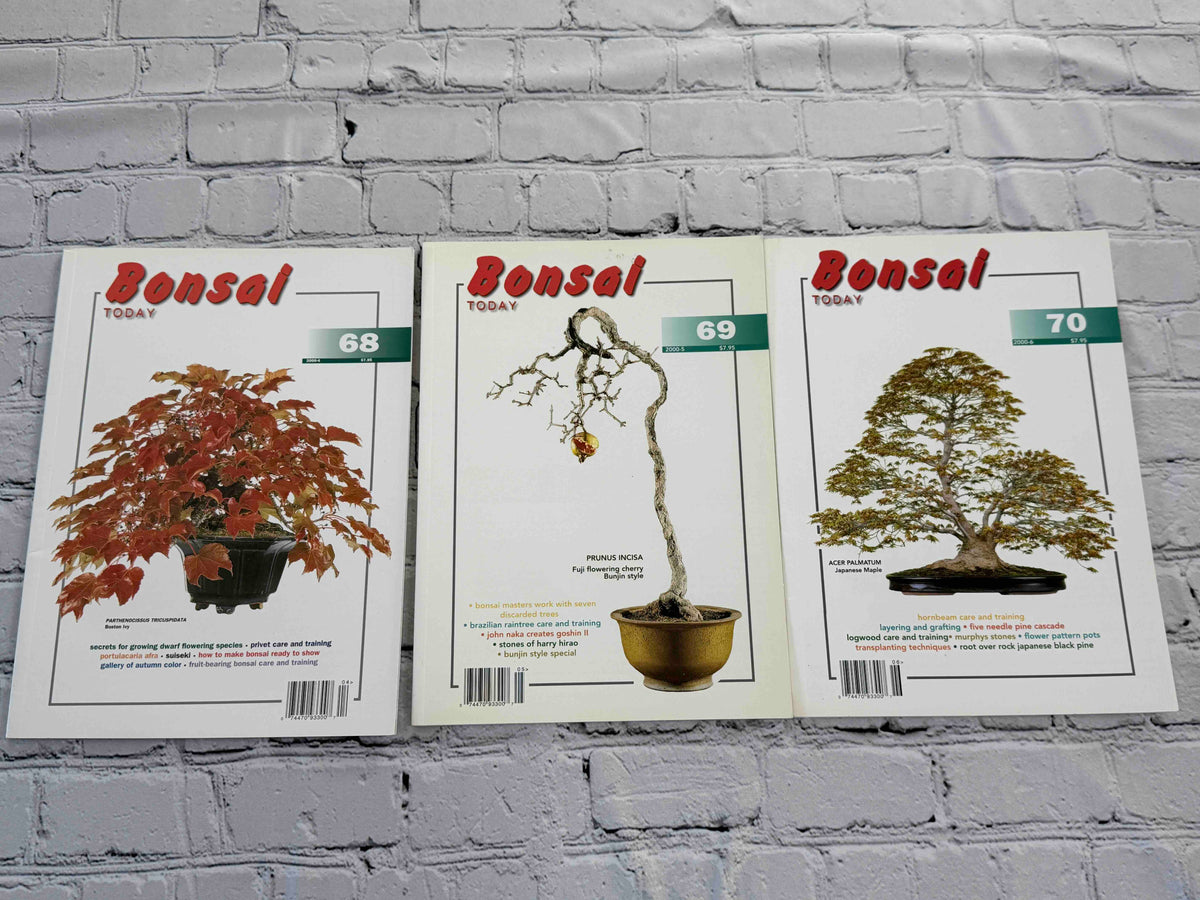 Bonsai Today magazine lot - front covers of issues 68-70