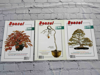 Bonsai Today magazine lot - front covers of issues 68-70