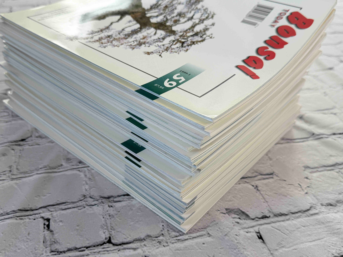 Bonsai Today magazine lot - stack corner view