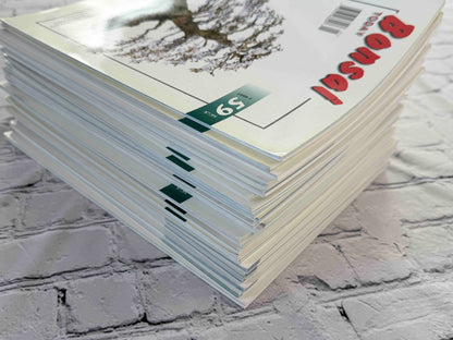 Bonsai Today magazine lot - stack corner view
