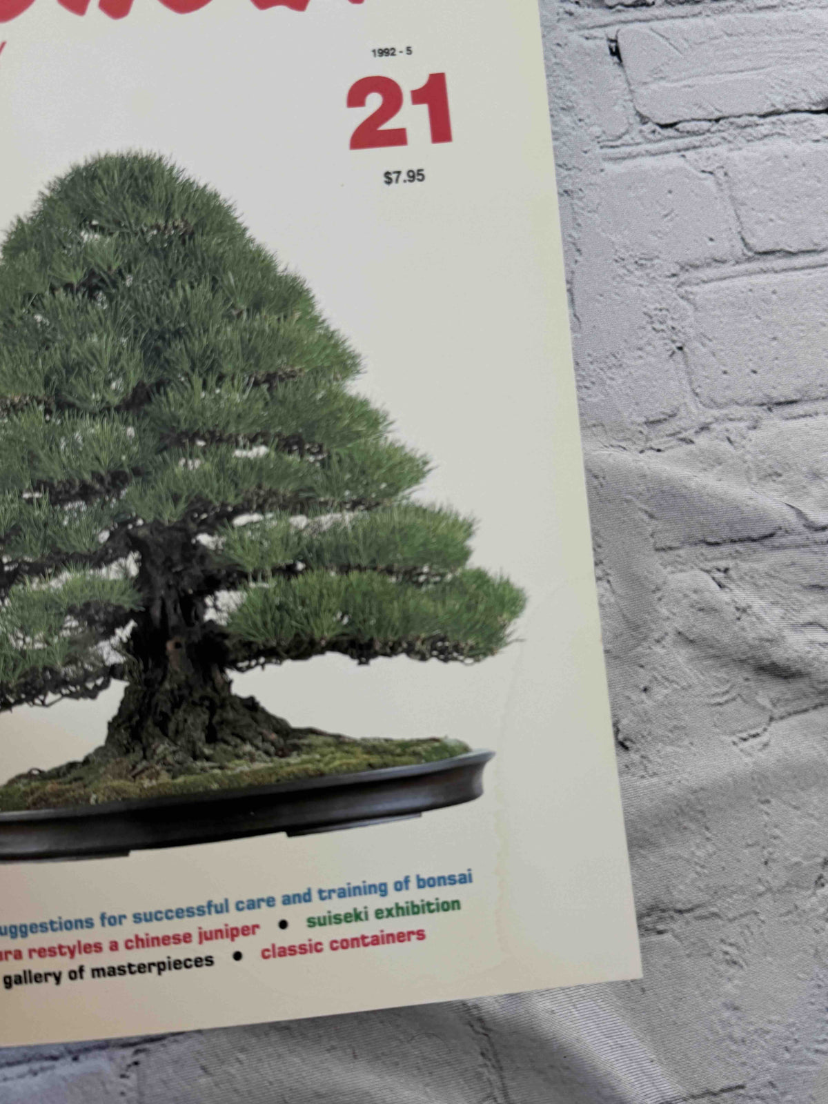 Bonsai Today magazine lot - issue 21 front cover corner
