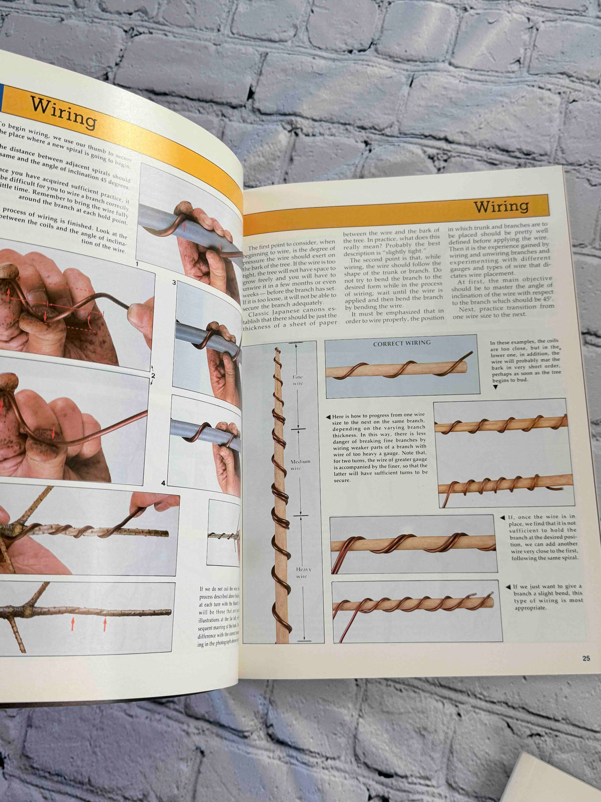 Bonsai Today magazine lot - wiring how-to pages