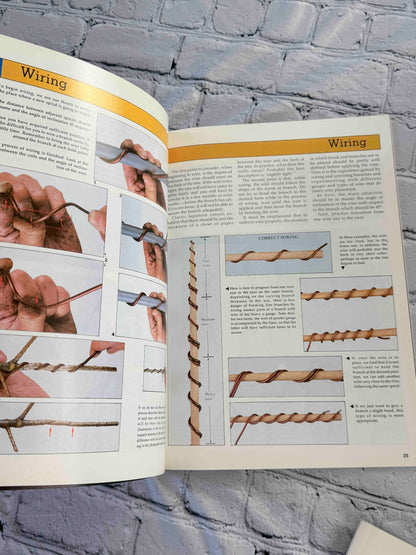 Bonsai Today magazine lot - wiring how-to pages