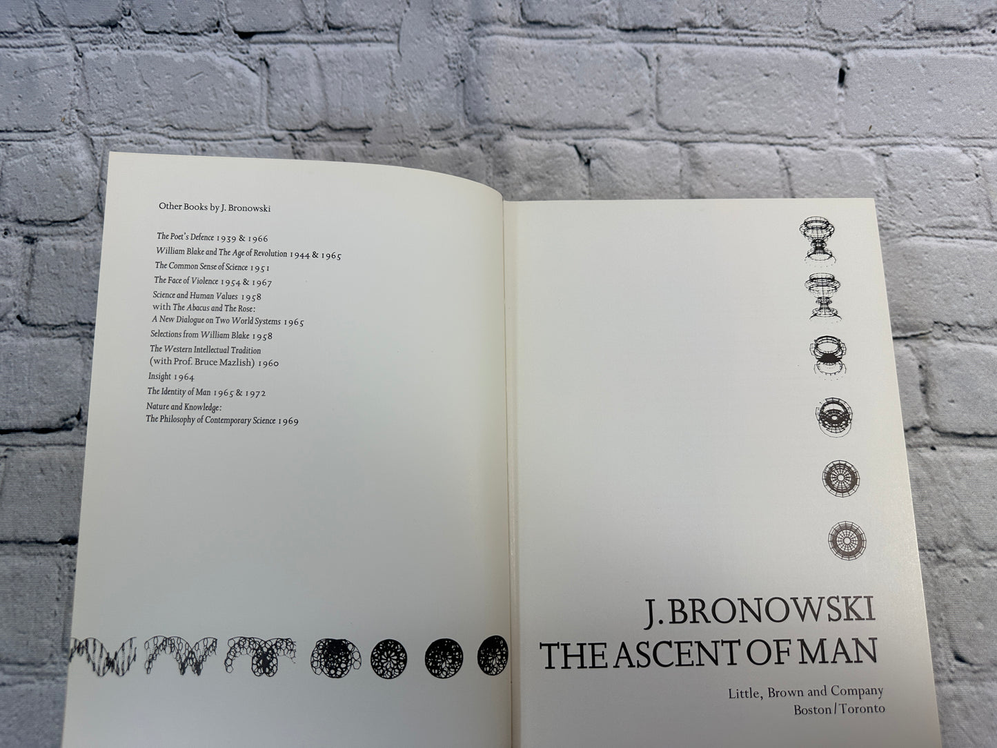 The Ascent of Man by J. Bronowski [1973]