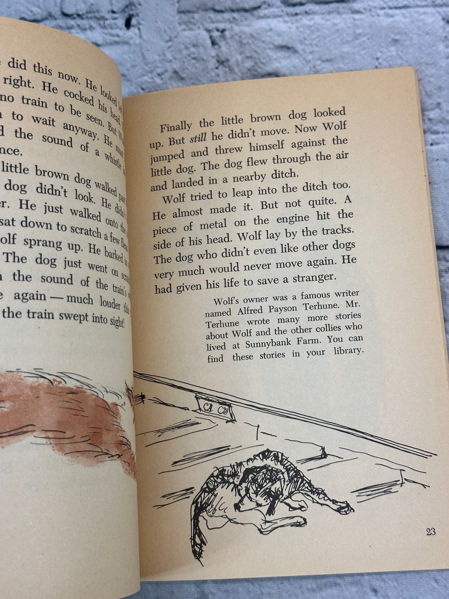 Five True Dog Stories by Margaret Davidson [1977 · First Printing]