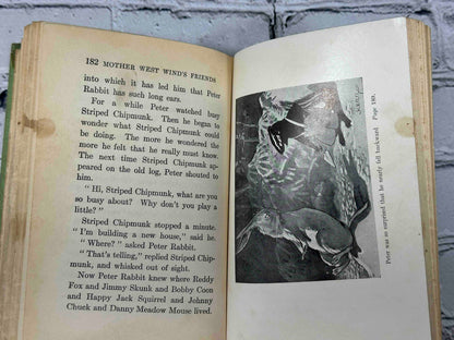 Mother West Wind's Animal Friends