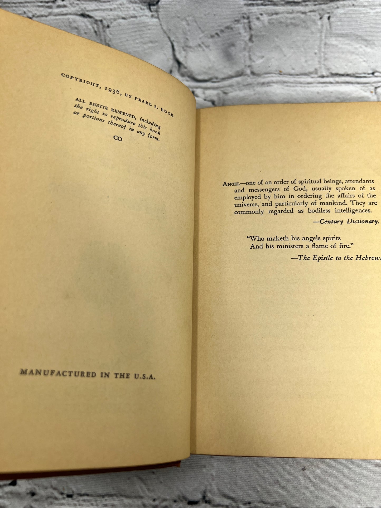 Fighting Angel: Portrait Of A Soul by Pearl S. Buck [1936]