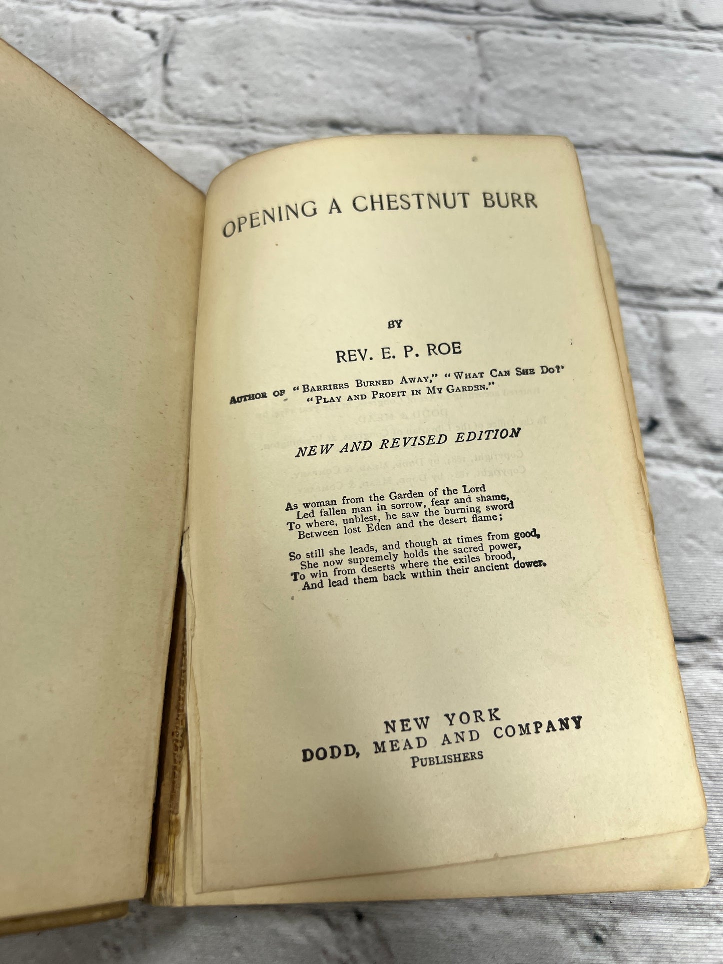 Opening A Chestnut Burr Rev E P Roe [1874]