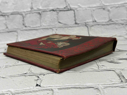 A Child's Life of Christ