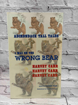 I Was on the Wrong Bear