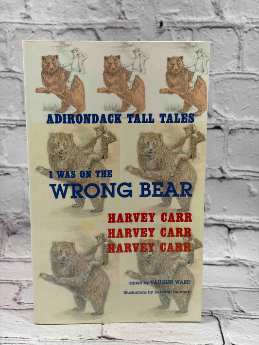 I Was on the Wrong Bear