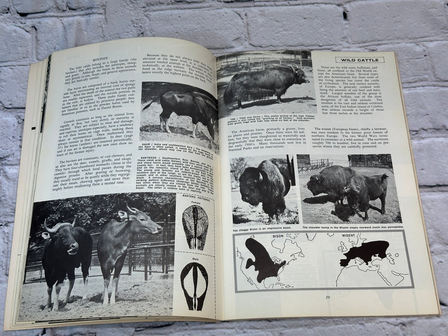 Philadelphia Zoo Animal Book and Guide to Garden [1967 · Second Printing]