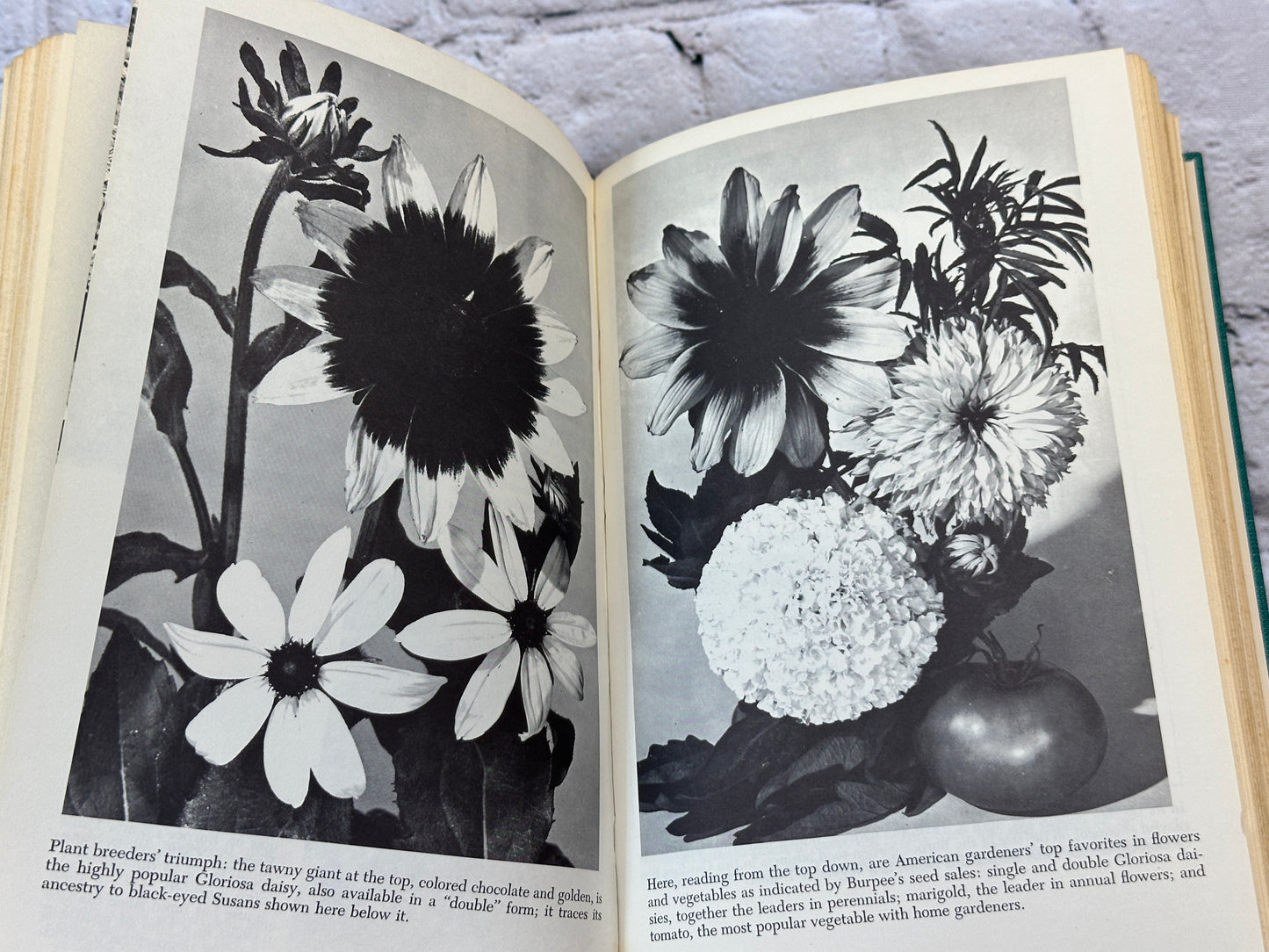 Garden to Order: The Story of Mr Burpee's Seeds and How..by Ken Kraft [1963]