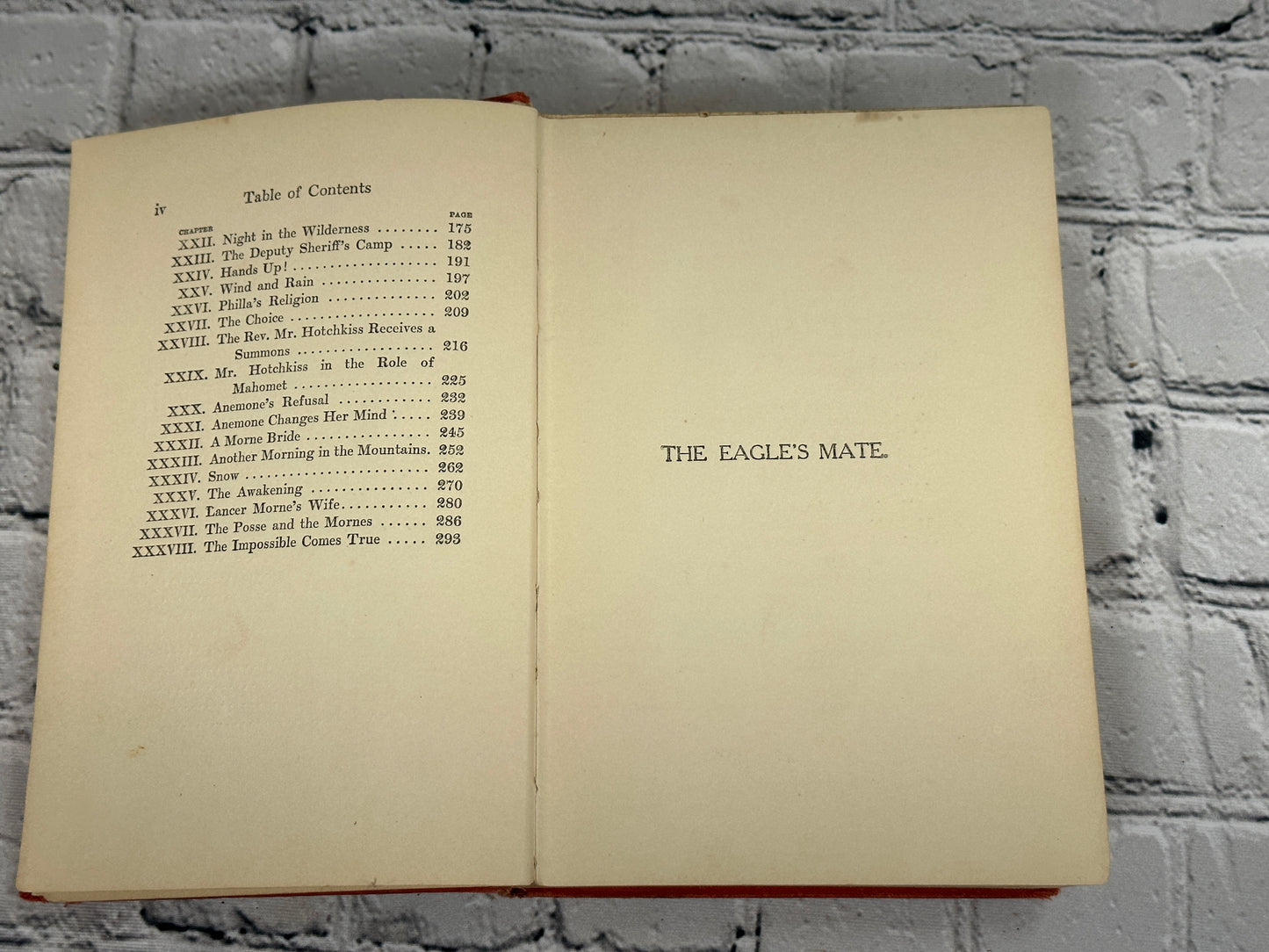 The Eagle's Mate by Anna Alice Chapin [1914 · Photo Play Edition]