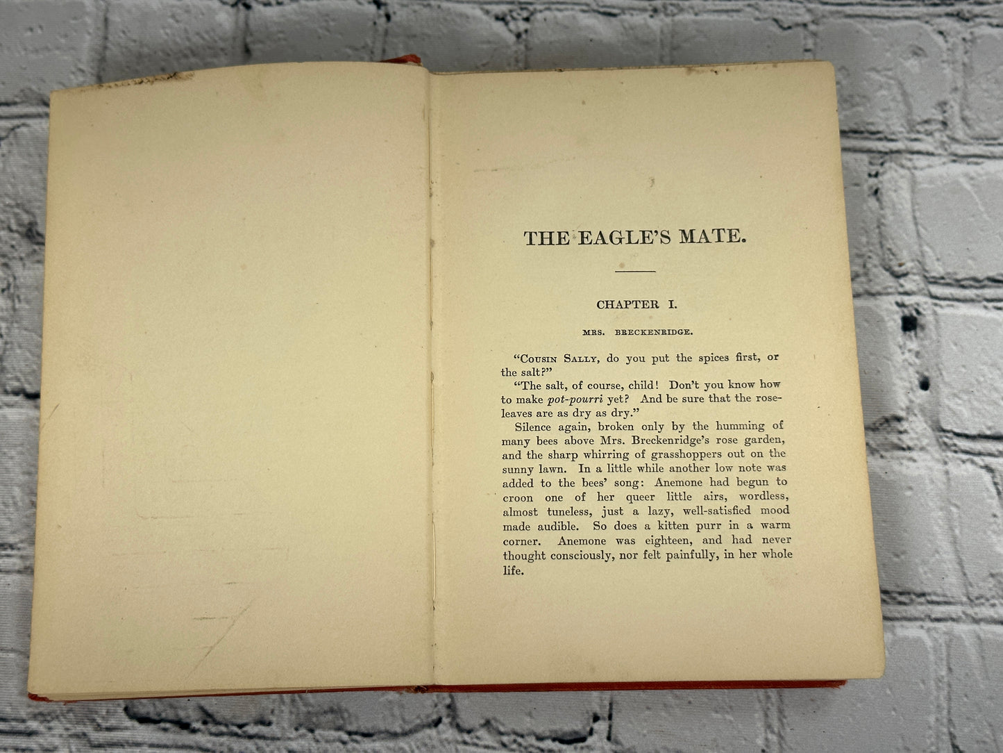 The Eagle's Mate by Anna Alice Chapin [1914 · Photo Play Edition]