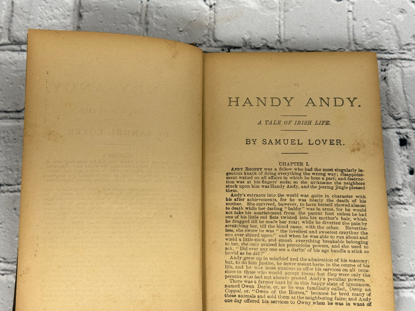 Handy Andy: A Tale Of Irish Life By Samuel Lover [Arlington Edition]