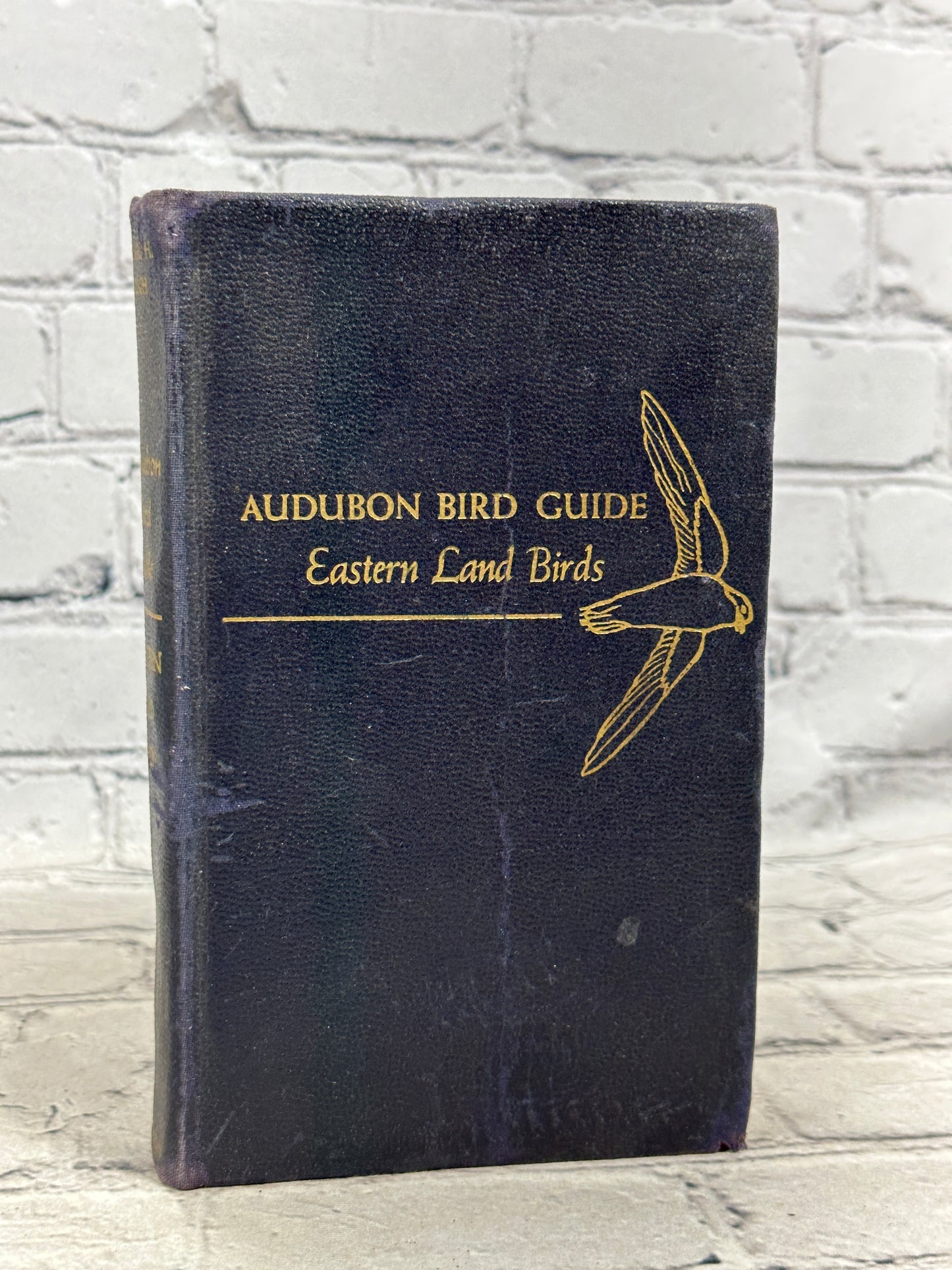 Audubon Bird Guide Eastern Land Birds by Richard H Pough