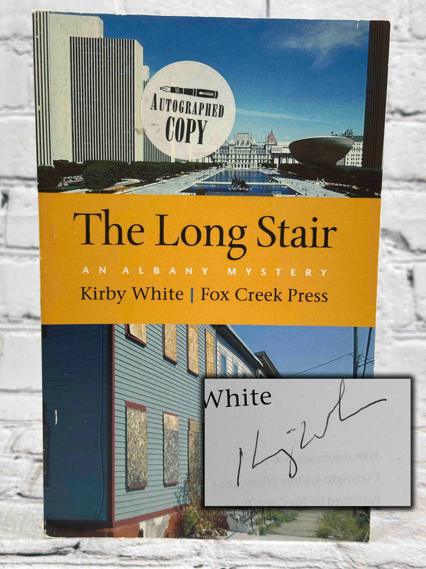 The Long Stair: An Albany Mystery