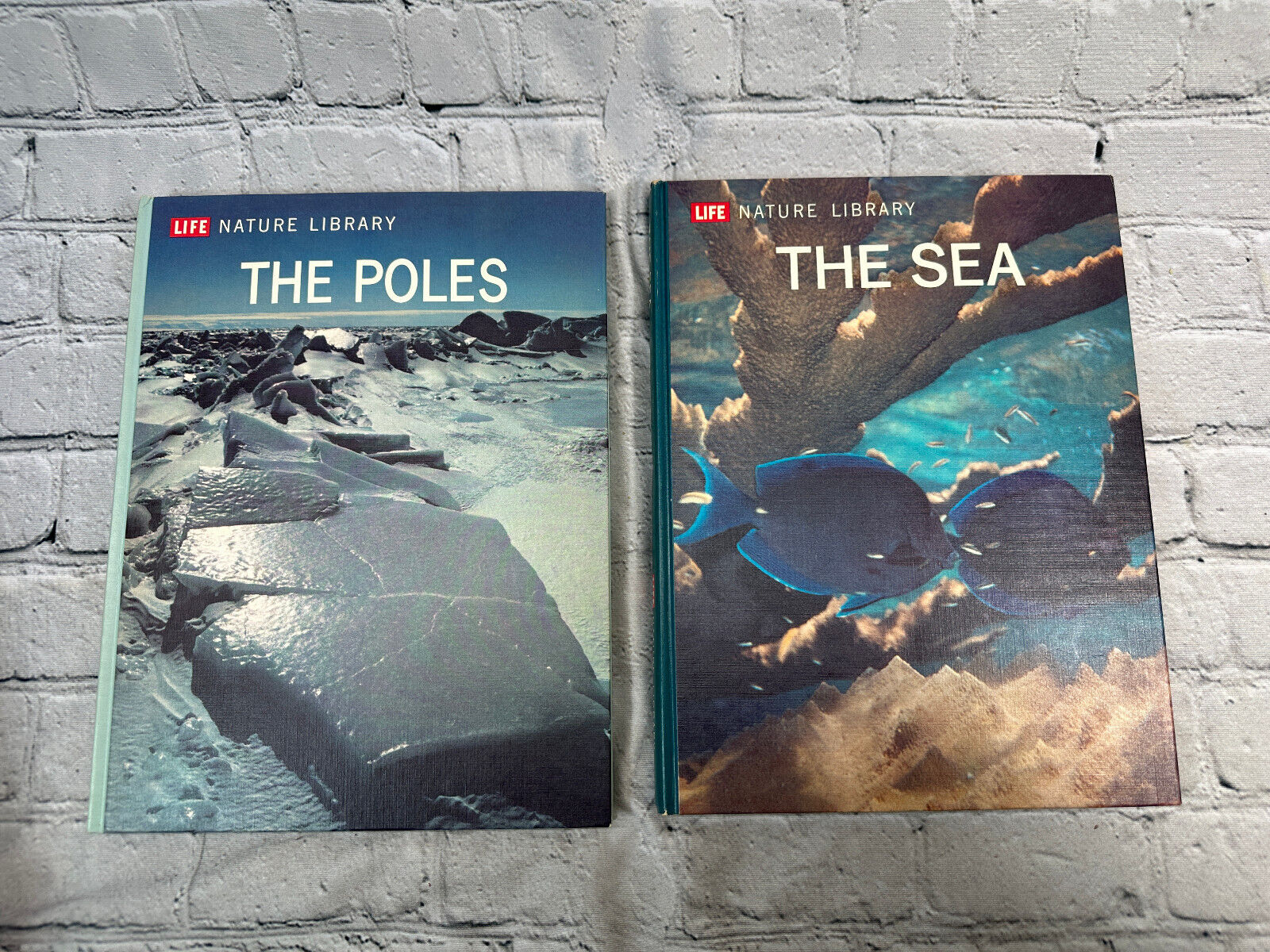 LIFE Nature Library [Lot of 12 · 1960s] – Flipped Pages