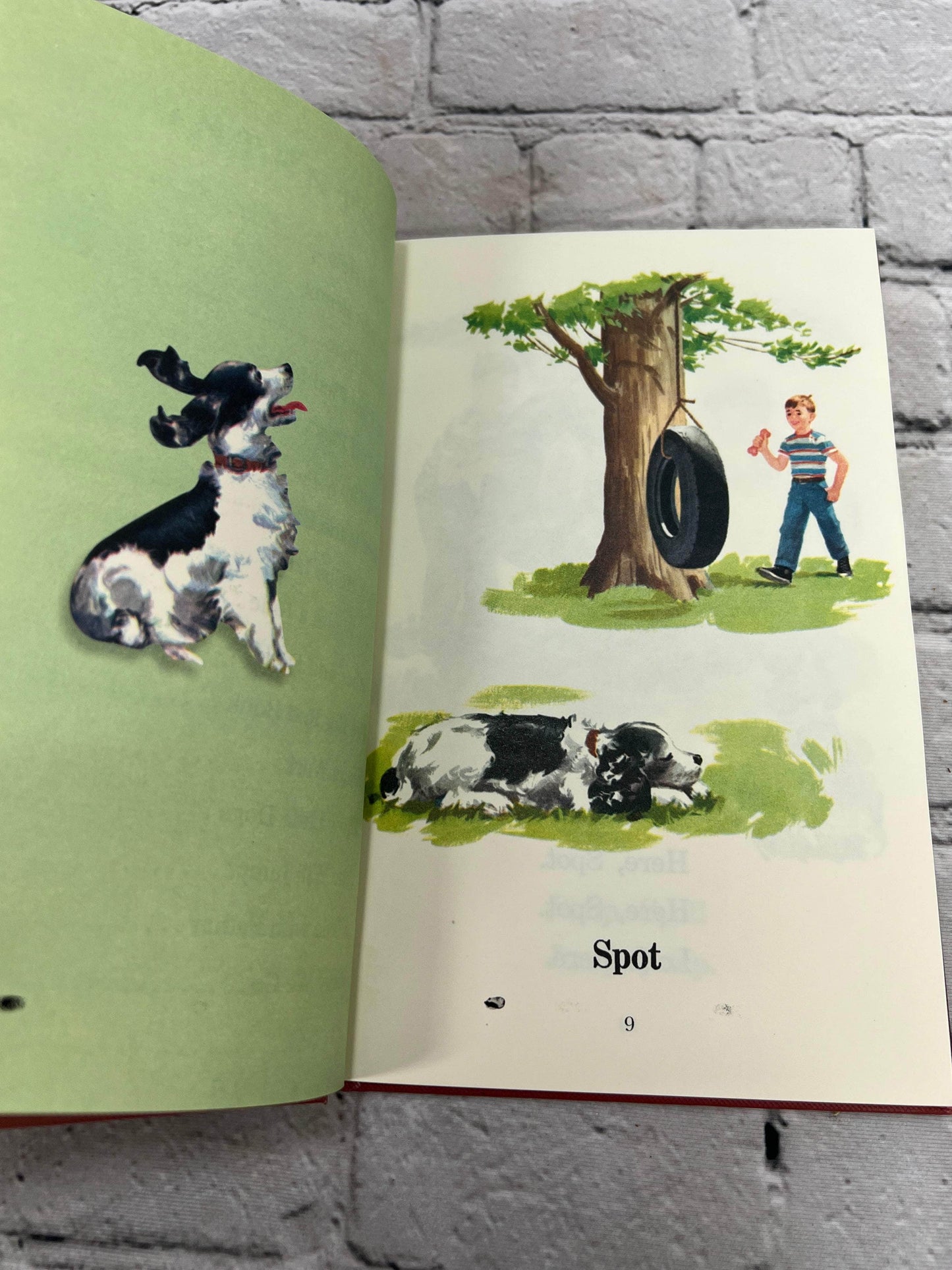 Flipped Pages Dick and Jane Fun with Our Family [Grosset & Dunlap · 2004]