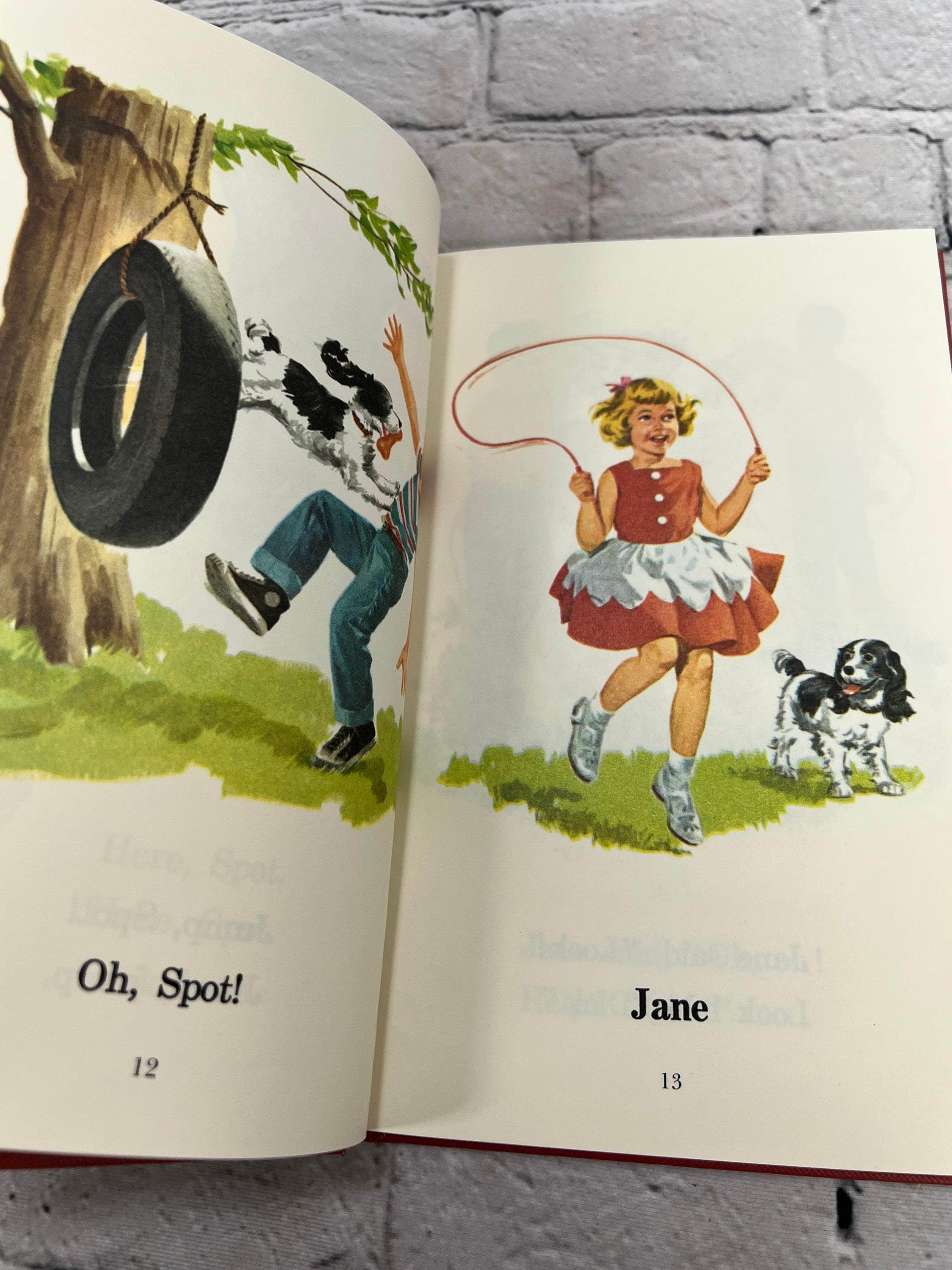 Flipped Pages Dick and Jane Fun with Our Family [Grosset & Dunlap · 2004]