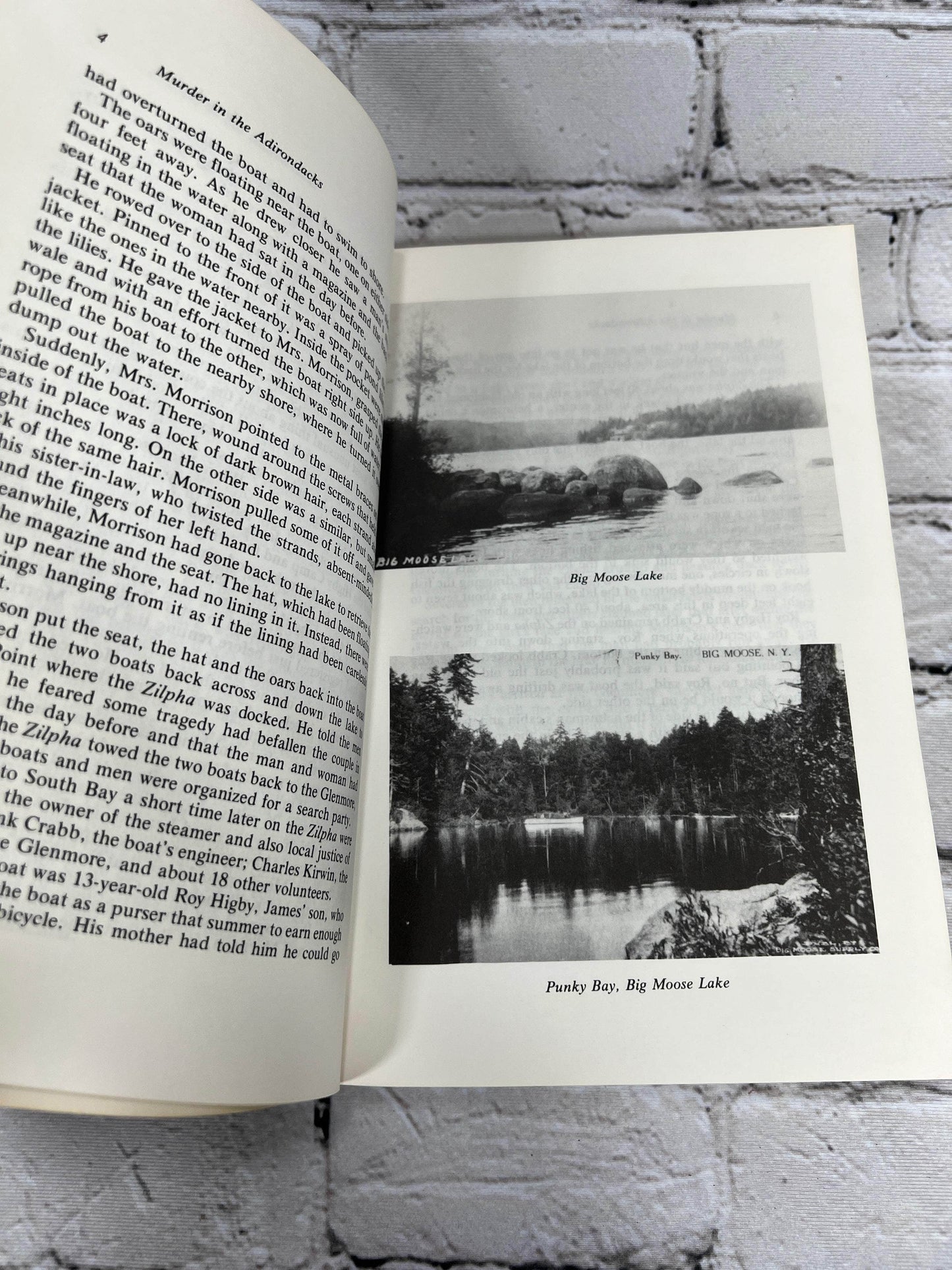 Flipped Pages Murder in the Adirondacks: An American Tragedy Revisited by Craig Brandon [1993]