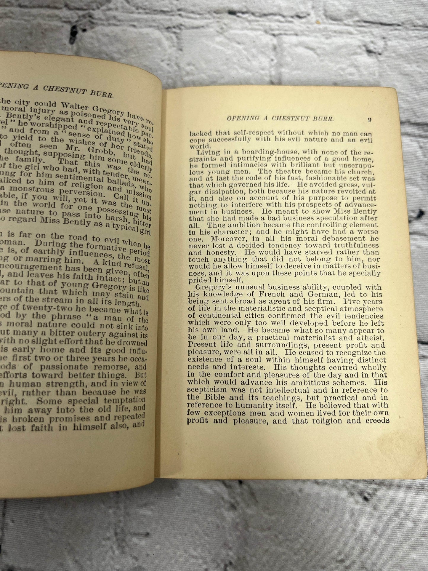 Flipped Pages Opening A Chestnut Burr Rev E P Roe [1874]