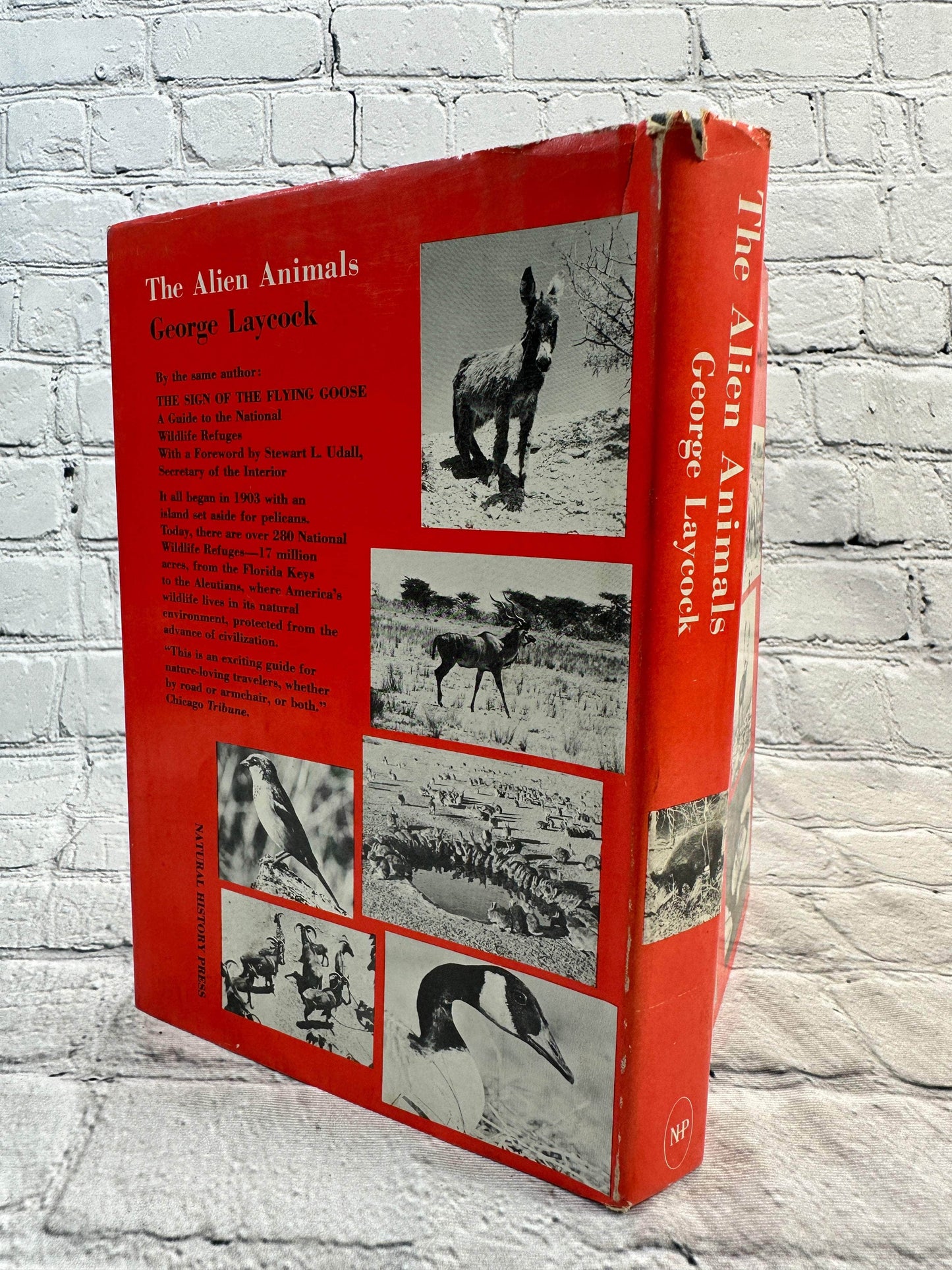 Flipped Pages The Alien Animals by George Laycock [1966 · First Edition]