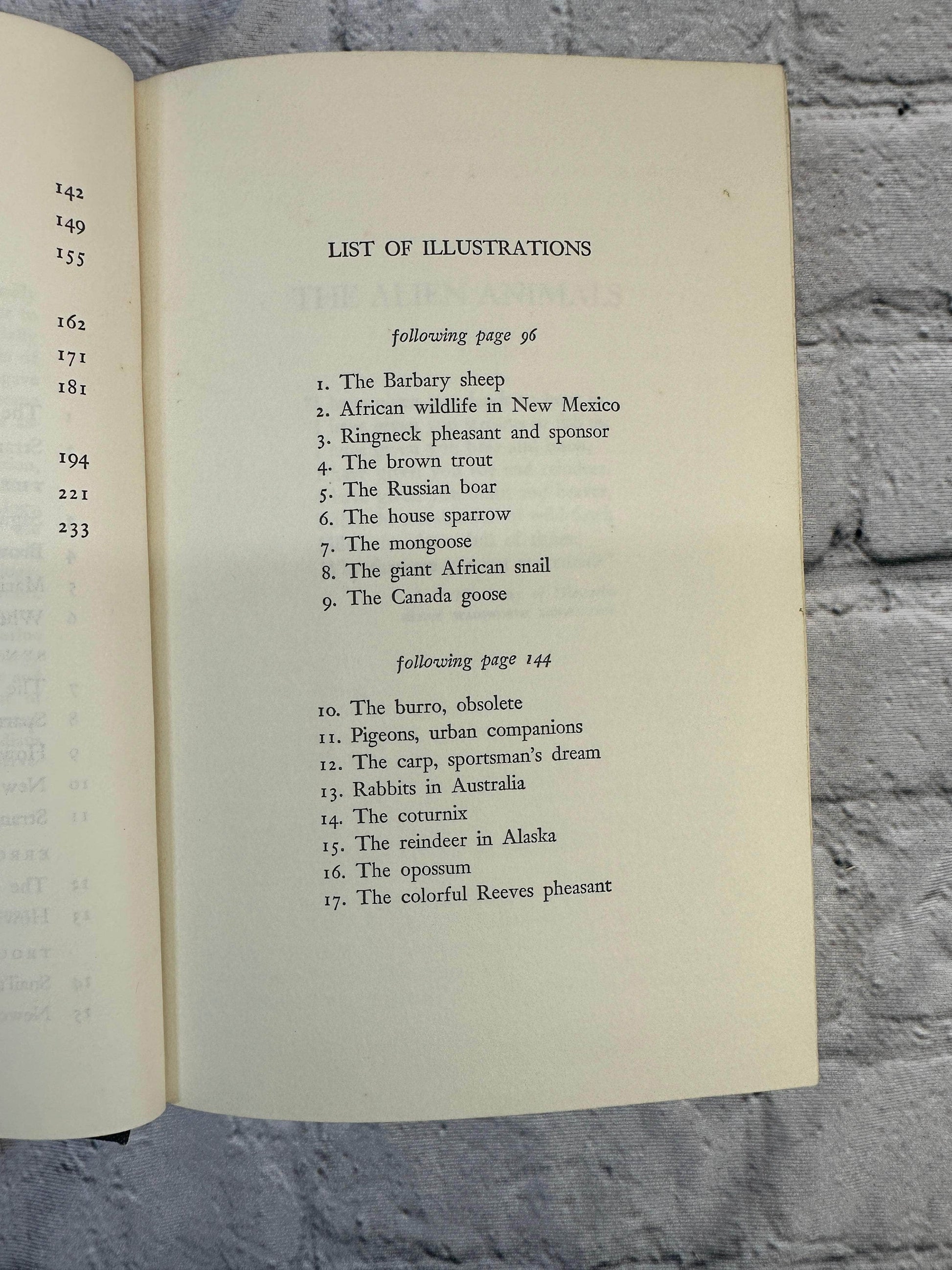 Flipped Pages The Alien Animals by George Laycock [1966 · First Edition]